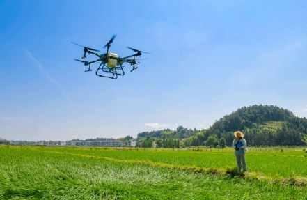 病虫害防治与防火